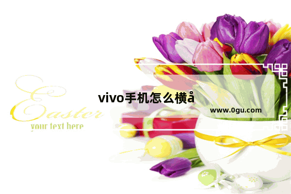 vivo手机怎么横屏看视频