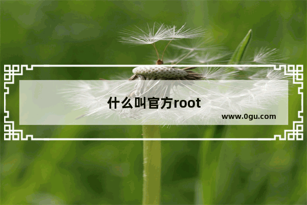 什么叫官方root
