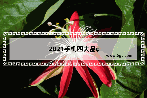 2021手机四大品牌
