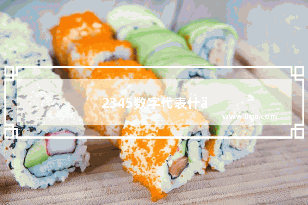 2345数字代表什么含义