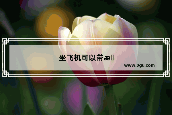 坐飞机可以带手机吗