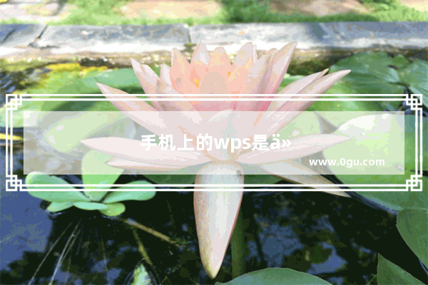 手机上的wps是什么意思