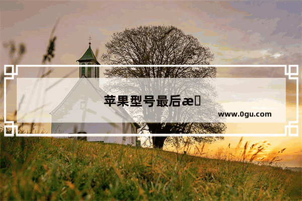 苹果型号最后是LL是什么意思