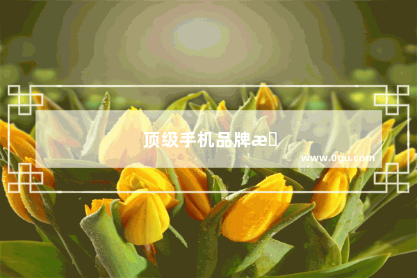 顶级手机品牌排行榜