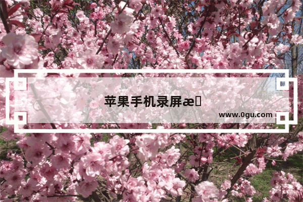 苹果手机录屏有几种方式