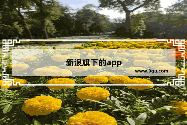 新浪旗下的app