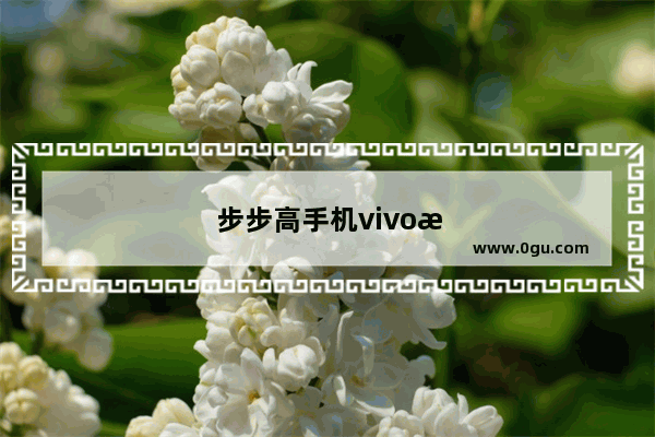 步步高手机vivo新机如何启动