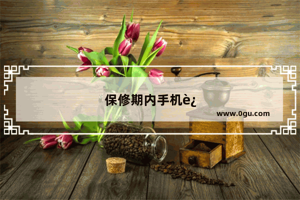 保修期内手机进水保修吗