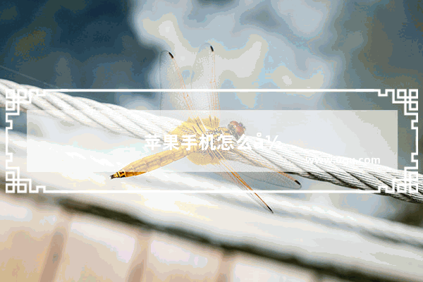 苹果手机怎么录音通话在哪里