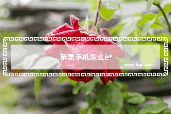 苹果手机怎么调中文