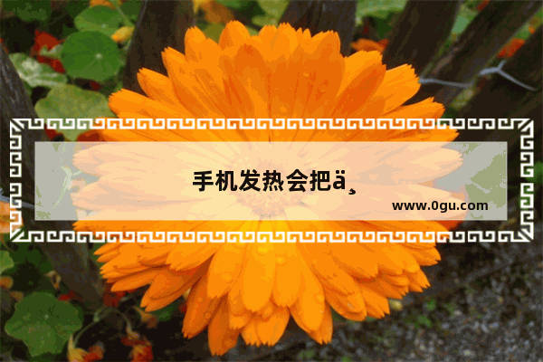 手机发热会把主板烧坏吗