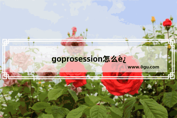 goprosession怎么连手机