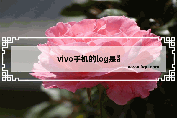 vivo手机的log是什么意思呢