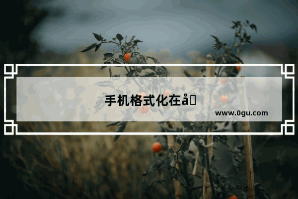 手机格式化在哪里面找