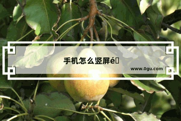 手机怎么竖屏锁定 vivo