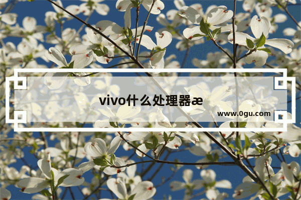 vivo什么处理器最好