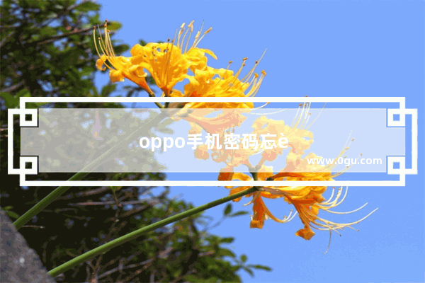 oppo手机密码忘记了怎么强制解锁