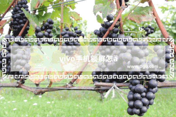 vivo手机锁屏怎么打开