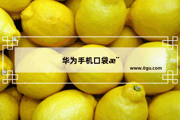 华为手机口袋模式在哪里
