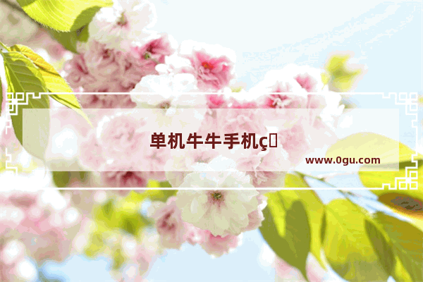 单机牛牛手机版