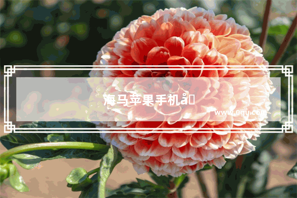 海马苹果手机助手安装官网