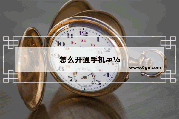 怎么开通手机漫游功能