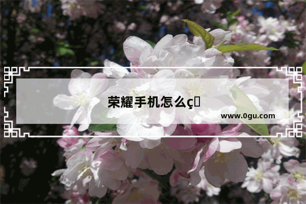 荣耀手机怎么照证件照