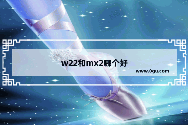 w22和mx2哪个好