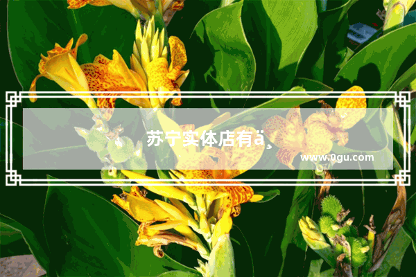 苏宁实体店有三星卖吗