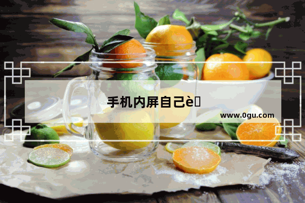 手机内屏自己能更换么