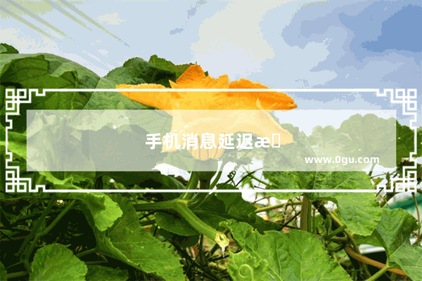 手机消息延迟怎么办