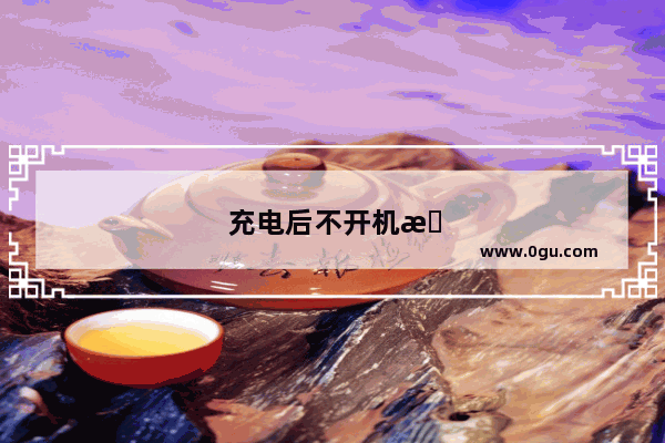 充电后不开机故障分析