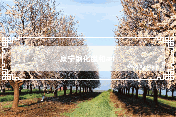康宁钢化膜和普通钢化膜区别