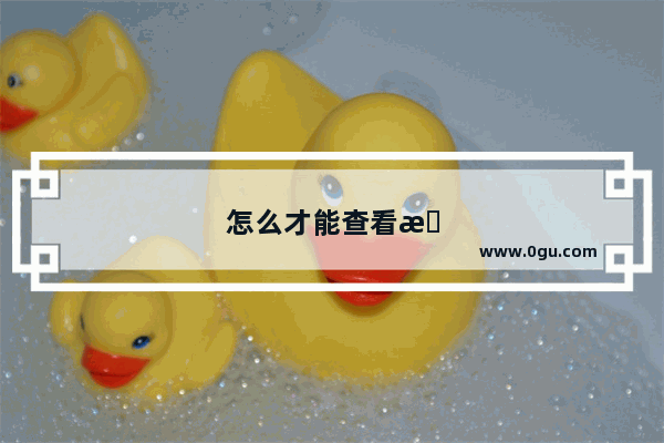 怎么才能查看手机实时帧率