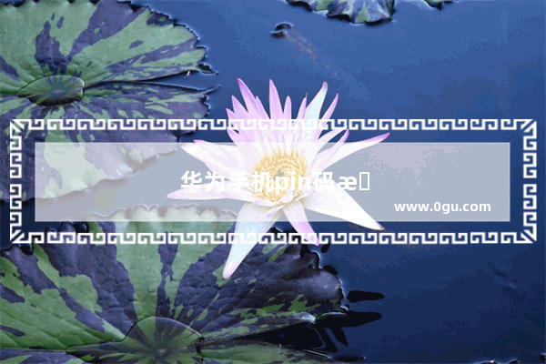 华为手机pin码怎么查