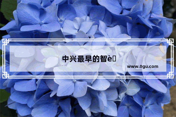 中兴最早的智能手机