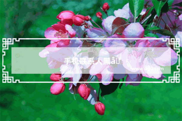 手机联系人黑名单在哪里查看