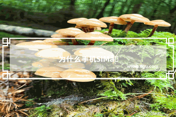 为什么手机SIM卡联系人全没有了 怎样恢复
