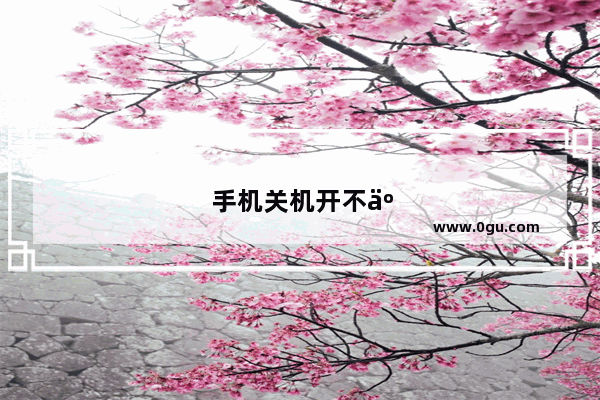 手机关机开不了机怎么办