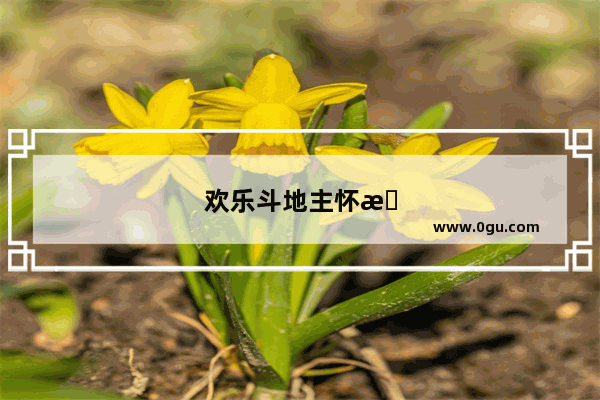 欢乐斗地主怀旧版怎么玩不了了