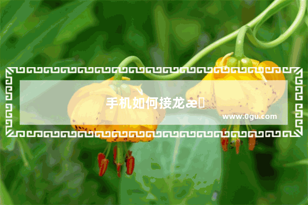 手机如何接龙报名