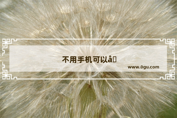 不用手机可以发彩信到手机吗
