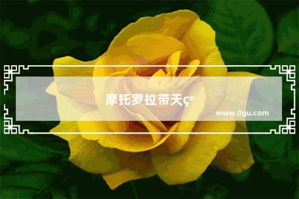 摩托罗拉带天线的手机