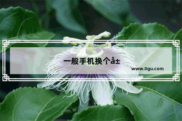 一般手机换个屏幕要多少钱