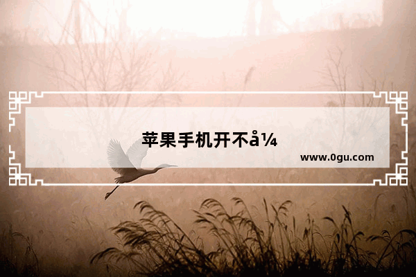苹果手机开不开机一直白平黑苹果