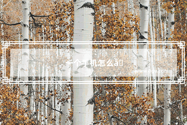 一个手机怎么双开游戏