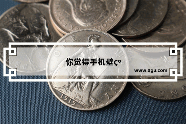 你觉得手机壁纸是给别人看的还是给自己看的