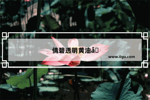 倩碧透明黄油和黄油哪个贵