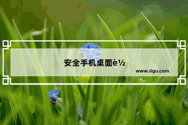 安全手机桌面软件下载