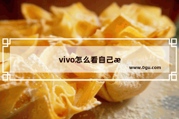 vivo怎么看自己手机型号